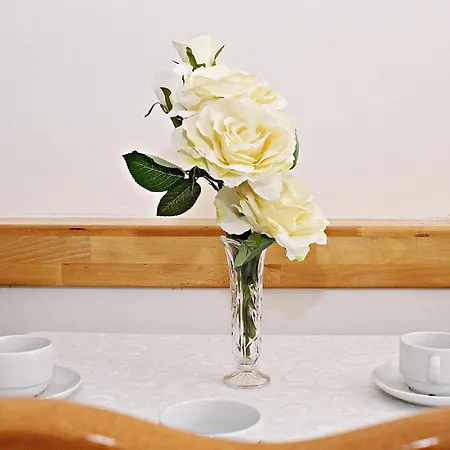 Studio Apartman Zara * 자다르